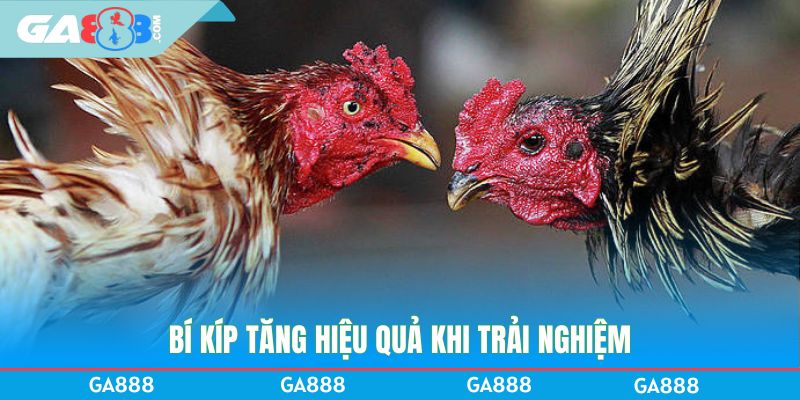 Bí kíp tăng hiệu quả khi trải nghiệm