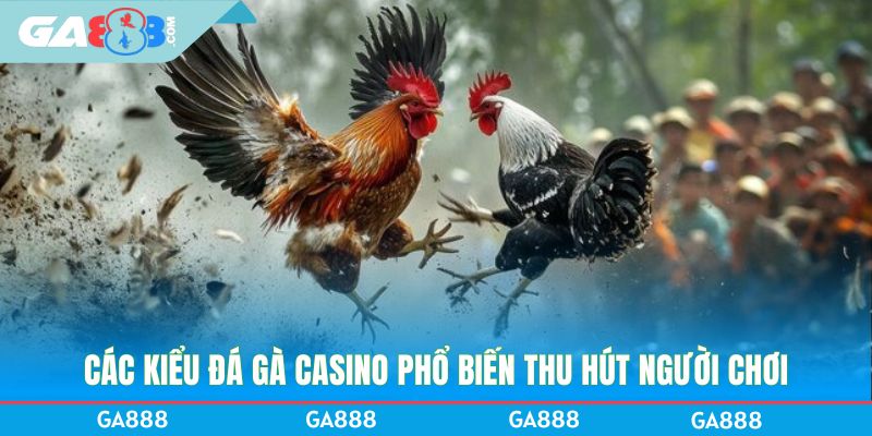 Các kiểu đá gà casino phổ biến thu hút người chơi