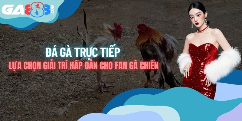 Đá Gà Trực Tiếp - Lựa Chọn Giải Trí Hấp Dẫn Cho Fan Gà Chiến