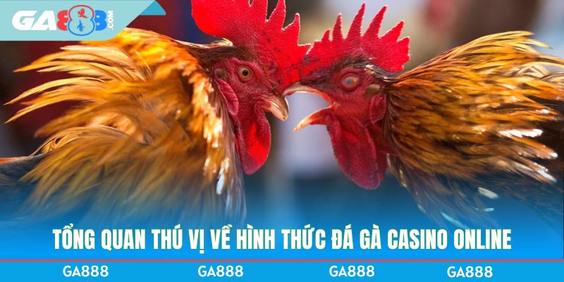 Tổng quan thú vị về hình thức đá gà casino online